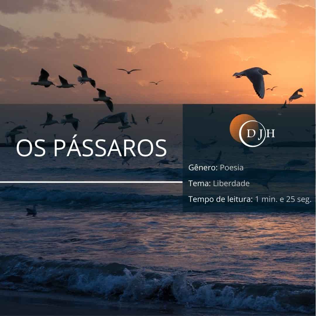 OS PÁSSAROS