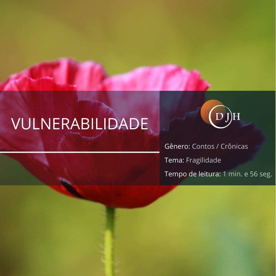 VULNERABILIDADE
